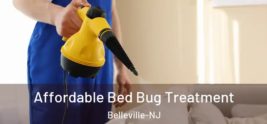Affordable Bed Bug Treatment Belleville-NJ