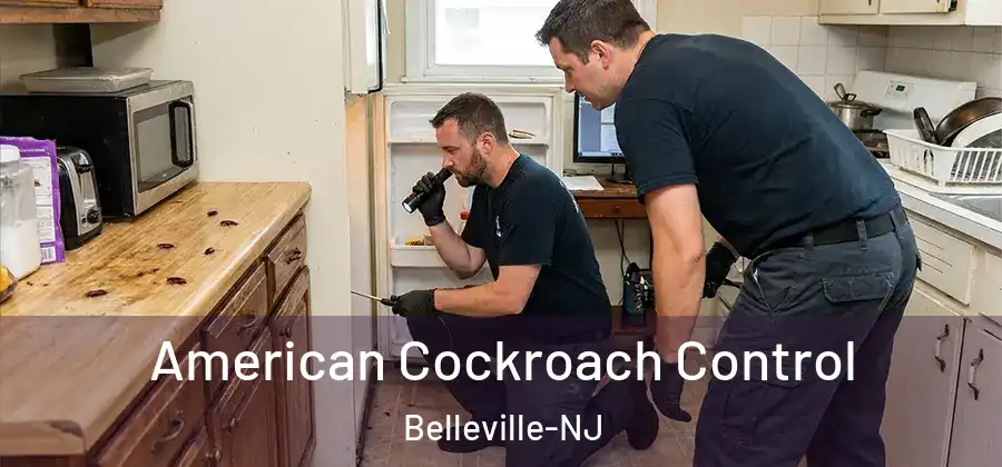 American Cockroach Control Belleville-NJ