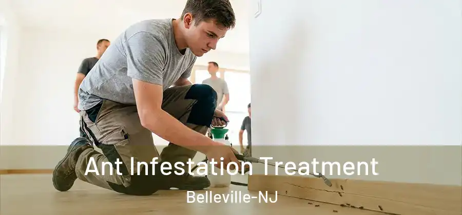 Ant Infestation Treatment Belleville-NJ