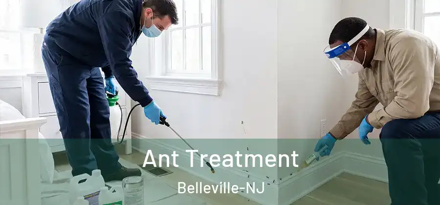 Ant Treatment Belleville-NJ