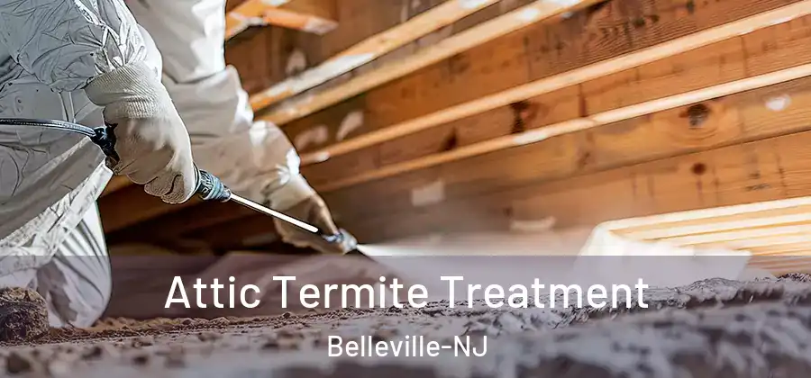 Attic Termite Treatment Belleville-NJ