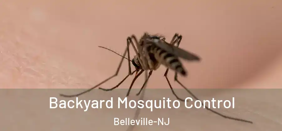 Backyard Mosquito Control Belleville-NJ