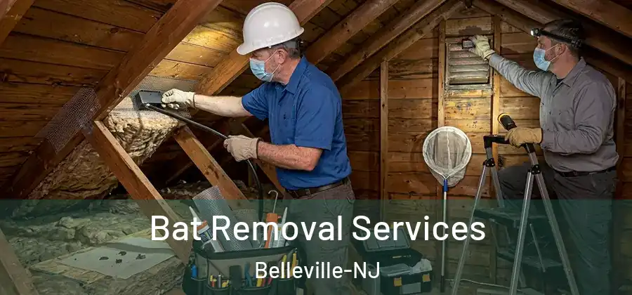 Bat Removal Services Belleville-NJ