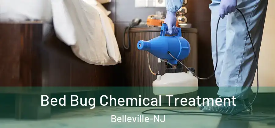 Bed Bug Chemical Treatment Belleville-NJ