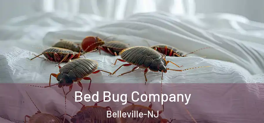Bed Bug Company Belleville-NJ