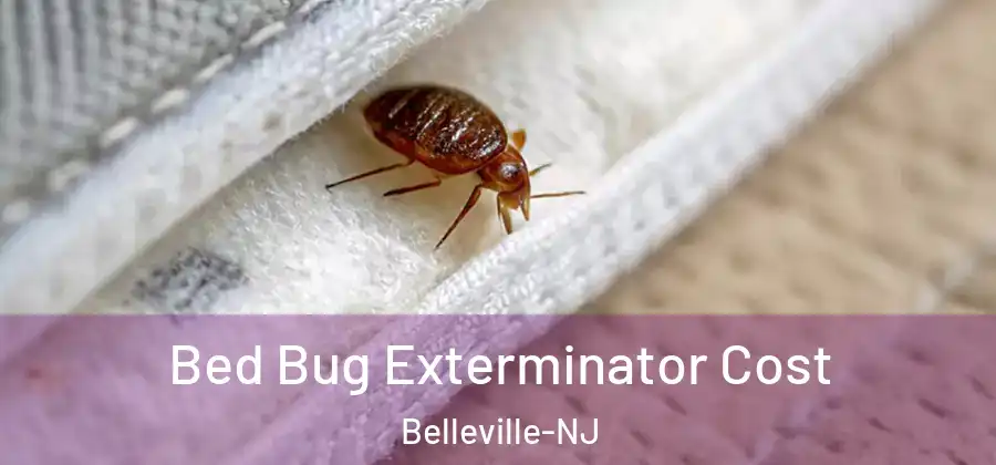 Bed Bug Exterminator Cost Belleville-NJ