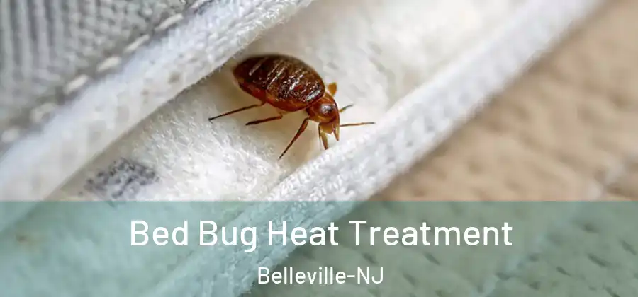 Bed Bug Heat Treatment Belleville-NJ