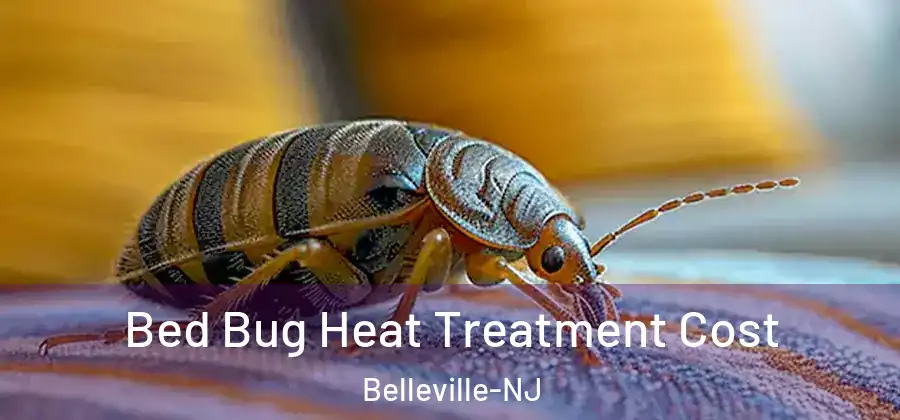Bed Bug Heat Treatment Cost Belleville-NJ
