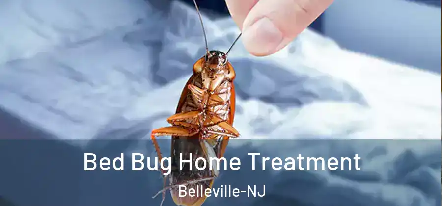 Bed Bug Home Treatment Belleville-NJ