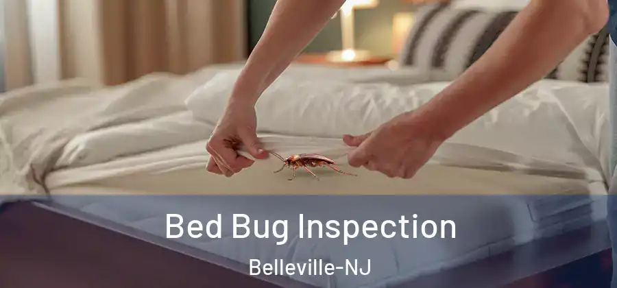 Bed Bug Inspection Belleville-NJ