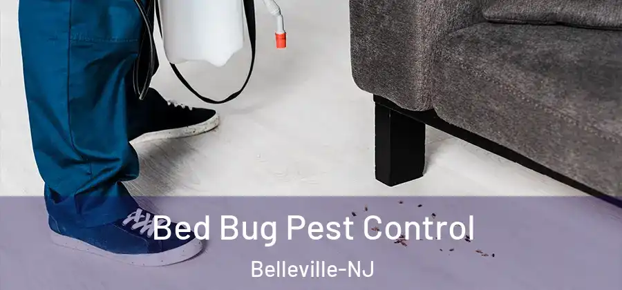 Bed Bug Pest Control Belleville-NJ