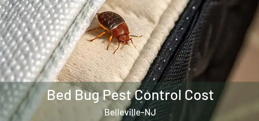 Bed Bug Pest Control Cost Belleville-NJ