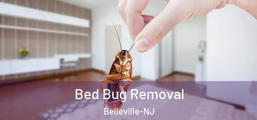  Bed Bug Removal Belleville-NJ