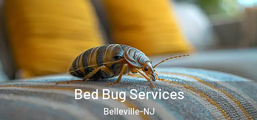 Bed Bug Services Belleville-NJ