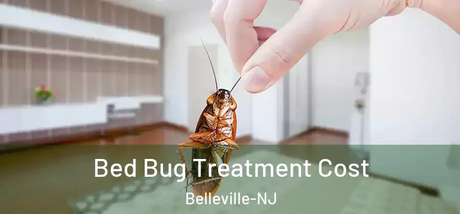Bed Bug Treatment Cost Belleville-NJ