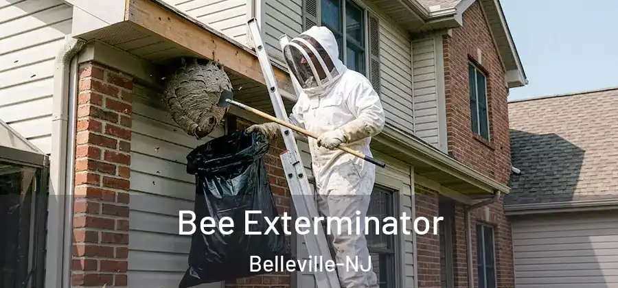  Bee Exterminator Belleville-NJ