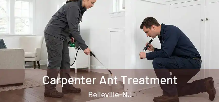 Carpenter Ant Treatment Belleville-NJ