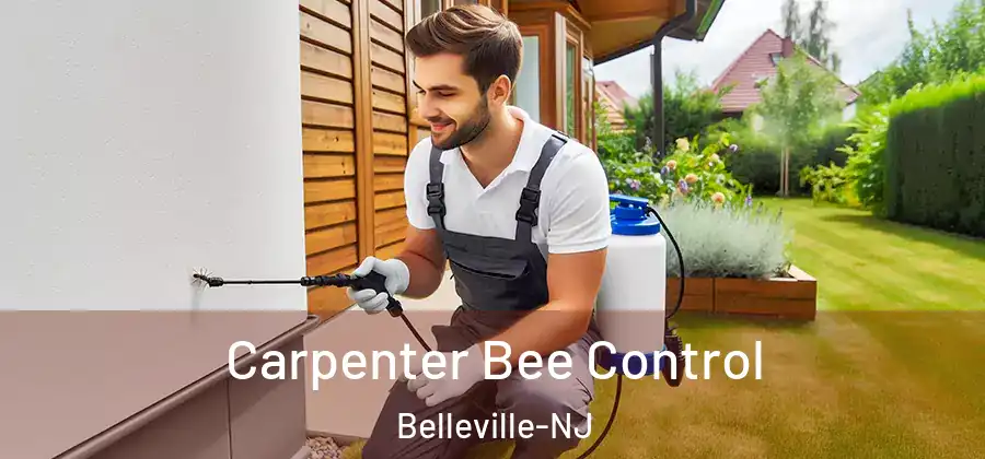 Carpenter Bee Control Belleville-NJ