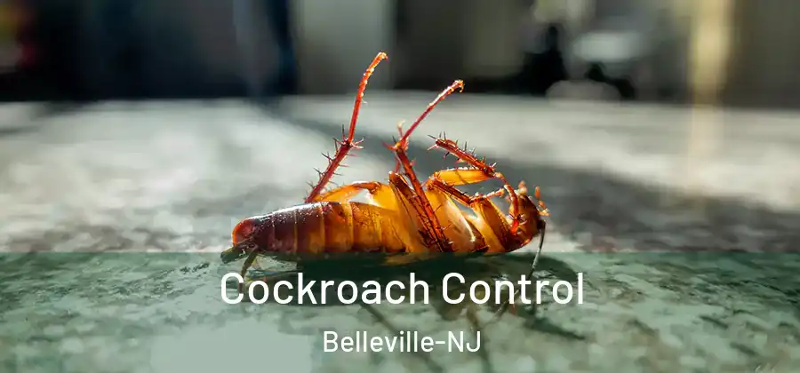 Cockroach Control Belleville-NJ