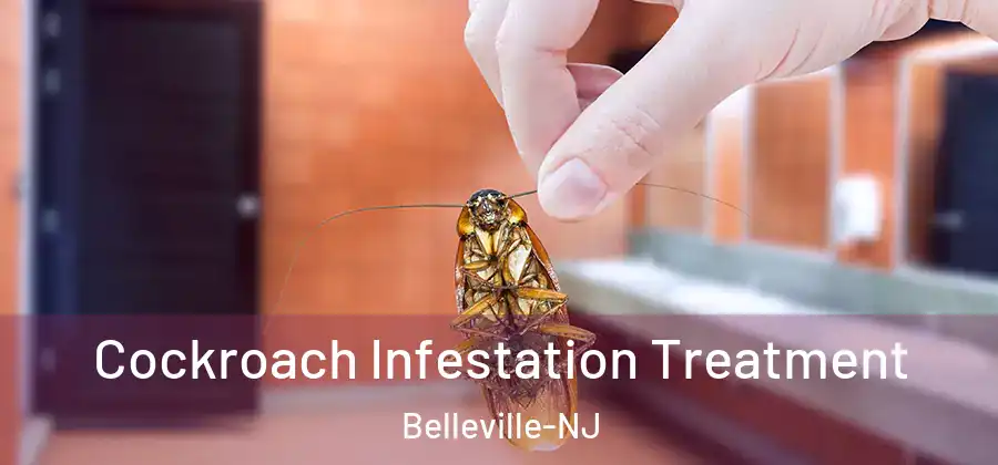Cockroach Infestation Treatment Belleville-NJ