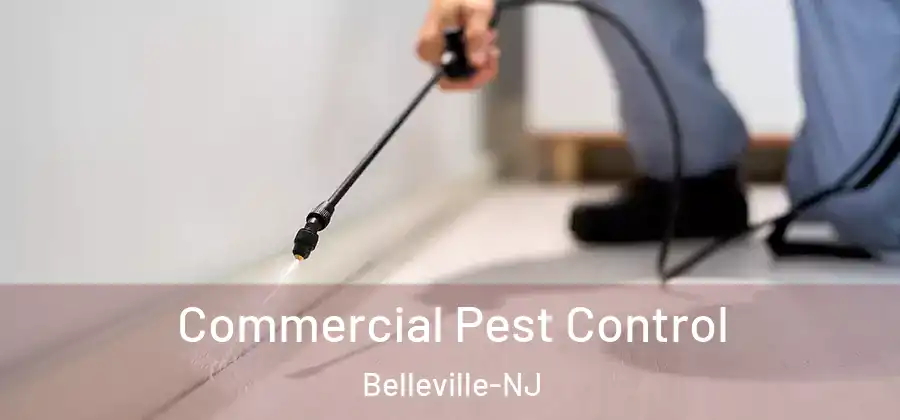 Commercial Pest Control Belleville-NJ