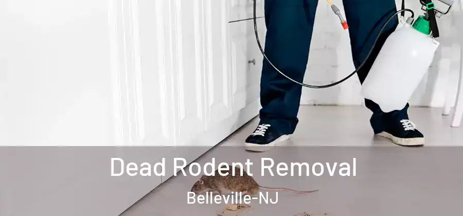 Dead Rodent Removal Belleville-NJ