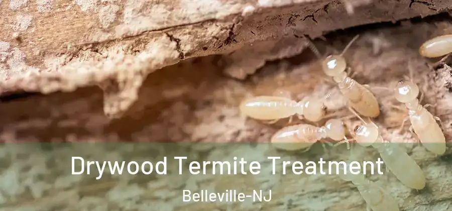 Drywood Termite Treatment Belleville-NJ