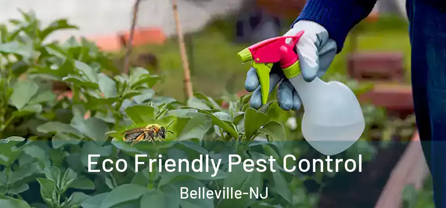 Eco Friendly Pest Control Belleville-NJ