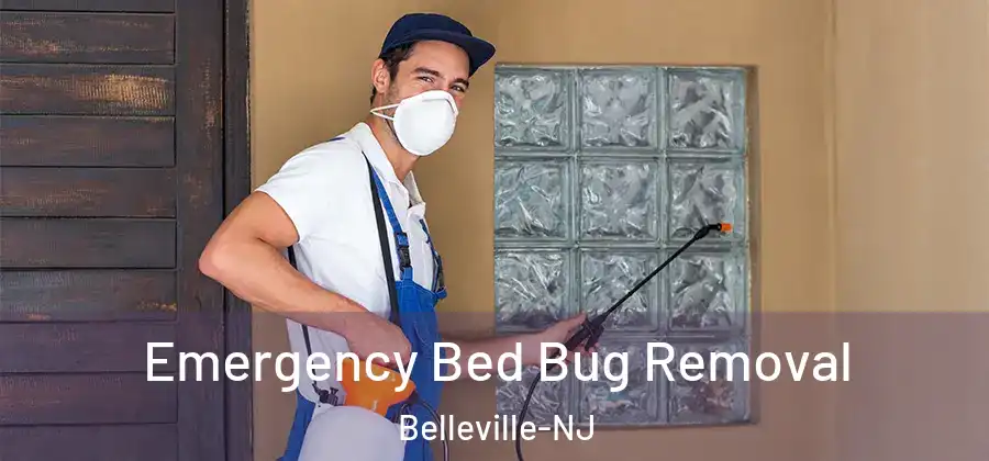Emergency Bed Bug Removal Belleville-NJ