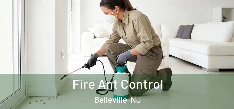 Fire Ant Control Belleville-NJ