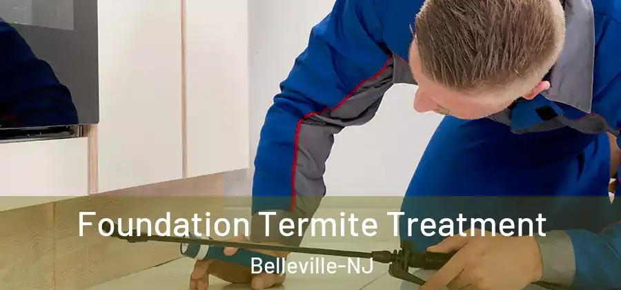 Foundation Termite Treatment Belleville-NJ