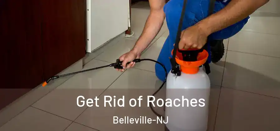 Get Rid of Roaches Belleville-NJ