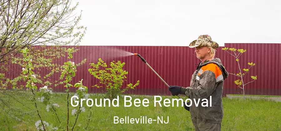 Ground Bee Removal Belleville-NJ