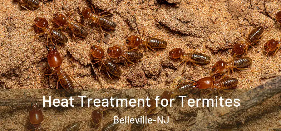 Heat Treatment for Termites Belleville-NJ