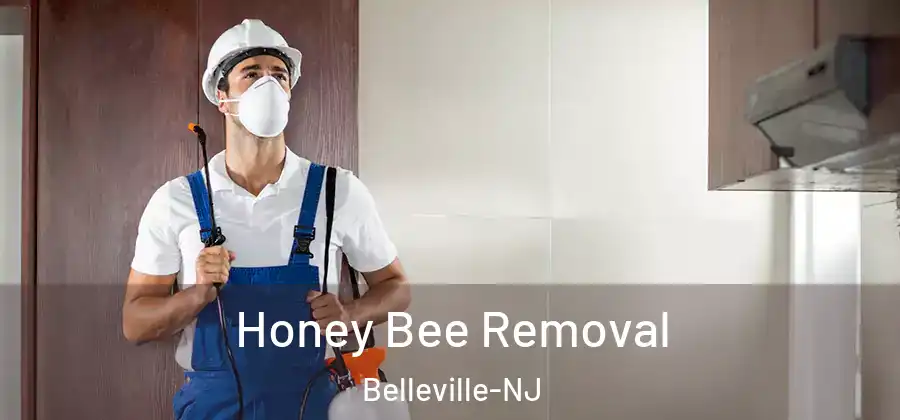 Honey Bee Removal Belleville-NJ
