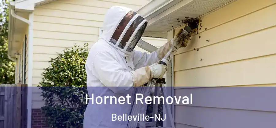 Hornet Removal Belleville-NJ