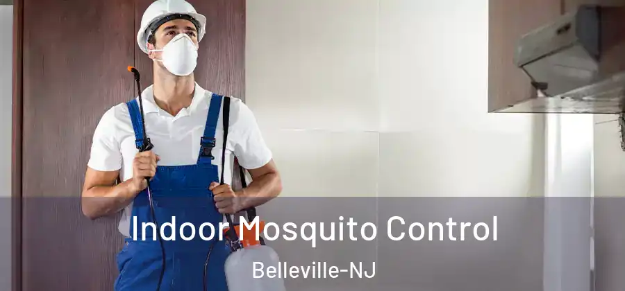 Indoor Mosquito Control Belleville-NJ