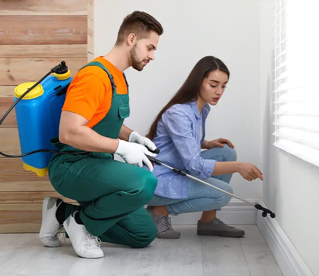 Trusted Affordable Bed Bug Treatment Experts in Belleville, NJ