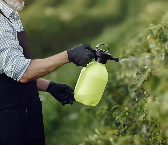 Your Proven Mosquito Treatment Company in Belleville, NJ