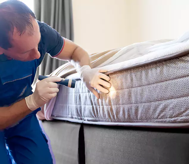 Trusted Bed Bug Cost Experts in Belleville, NJ