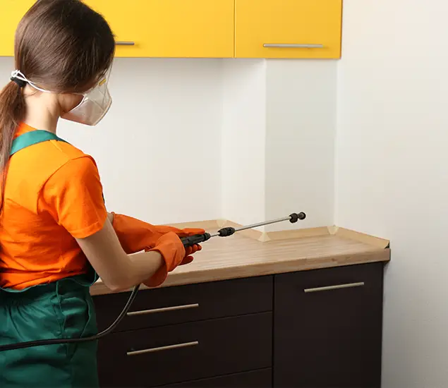 Trusted Bed Bug Pest Control Specialist in Belleville, NJ