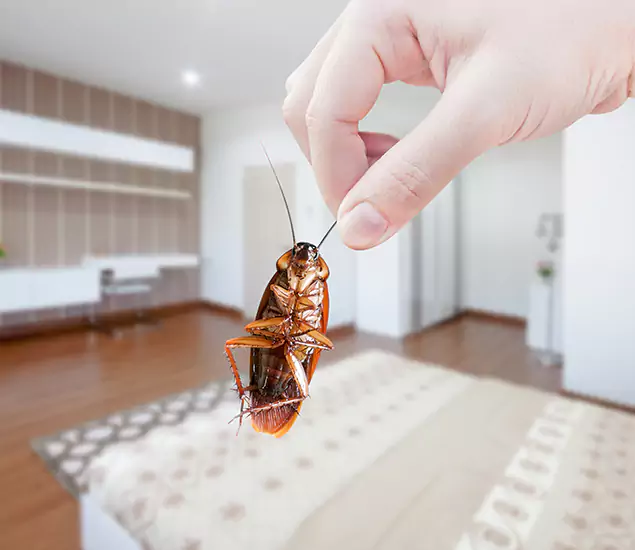 Your Cockroach Control Services in Belleville, NJ