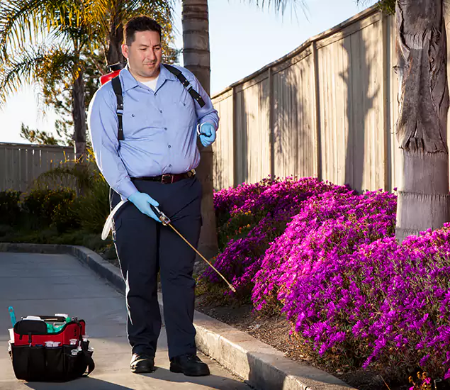 About Our Eco Safe Pest Control Experts in Belleville, NJ