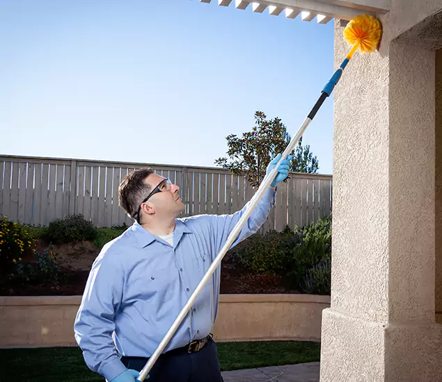 Trusted Experts in Belleville NJ for Formosan Termite Treatment and Black Termite Control