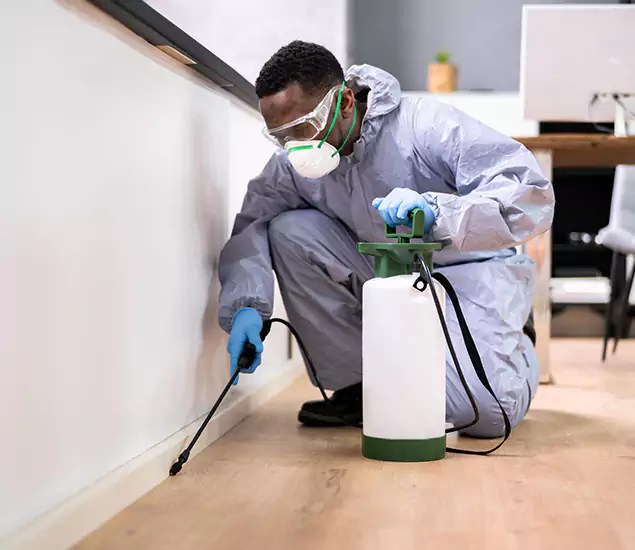 Leading Industrial Pest Control Experts Serving Belleville, NJ