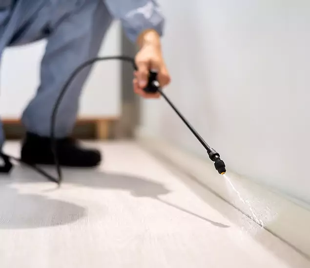 About Our Liquid Termite Treatment Experts in Belleville, NJ