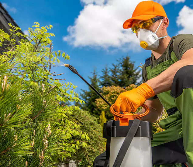 Reliable Mosquito Pest Control Services: Your Proven Mosquito Specialist in Belleville, NJ