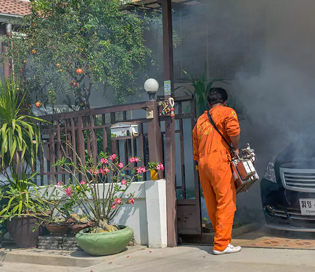 Your Proven Mosquito Fogging Company in Belleville, NJ