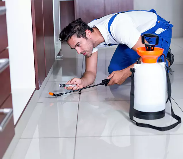 Reliable Professional Mouse Removal: Your Best Mouse Control Company in Belleville, NJ
