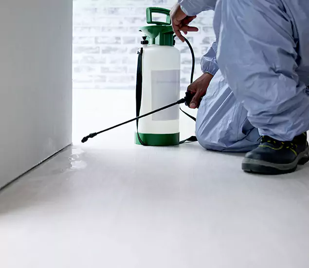 Affordable Pest Control Experts in Belleville, NJ
